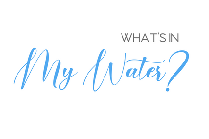 From Berkey to Reverse Osmosis Water