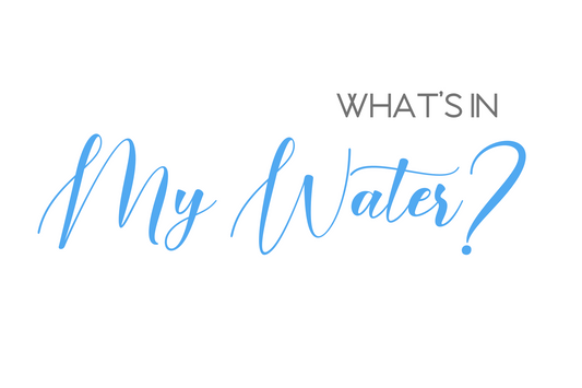 From Berkey to Reverse Osmosis Water