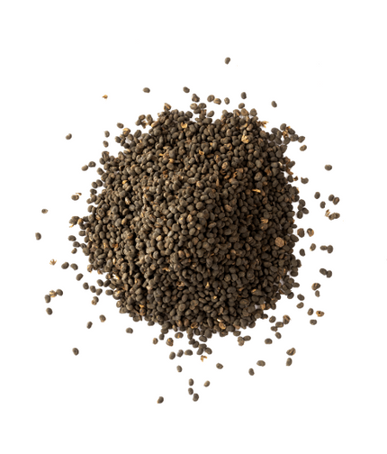 Bakuchiol for Aging Skin