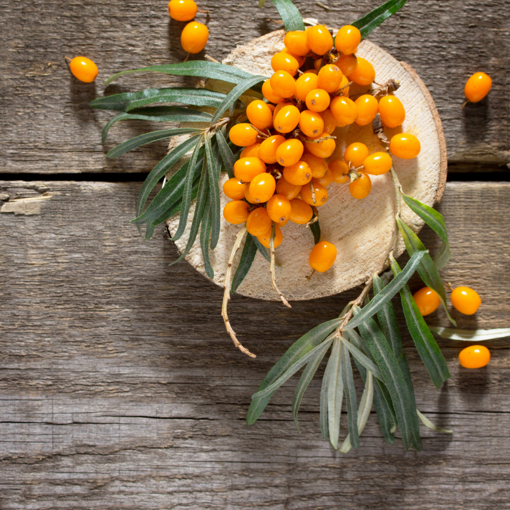How to Use Seabuckthorn Berry in Your Daily Routine